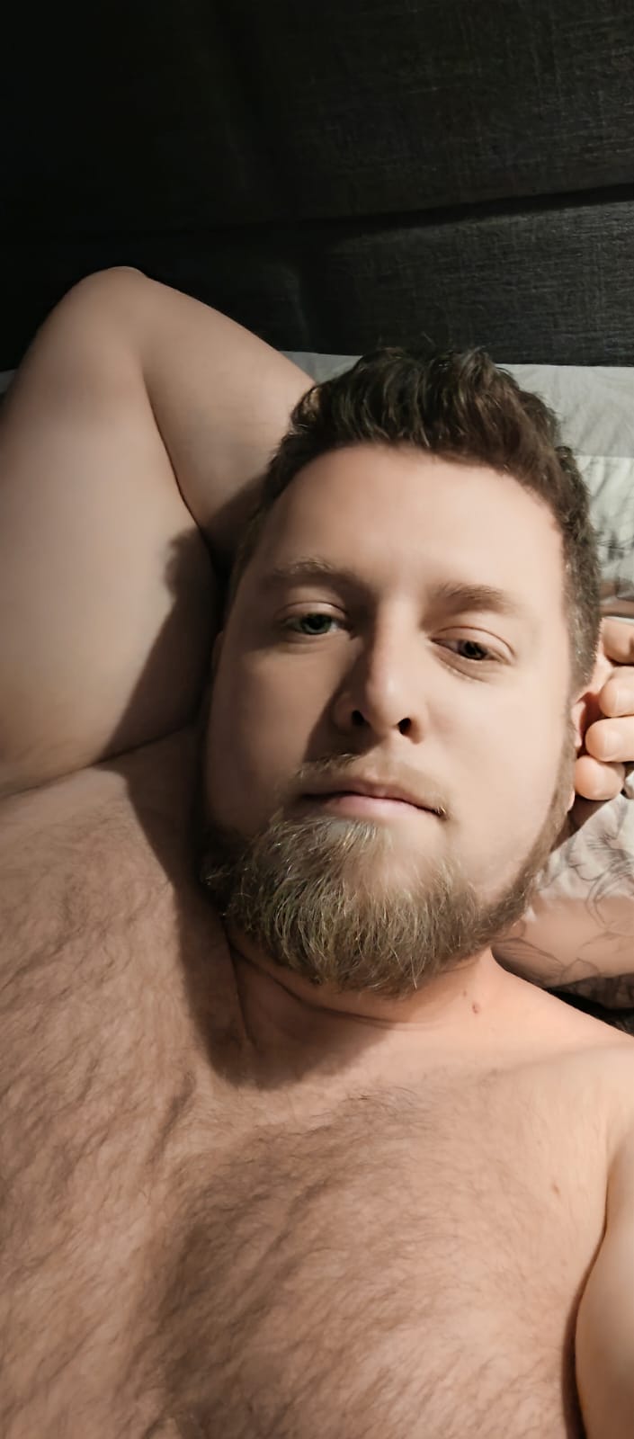 Profil de Abed, 37 ans, Rencontre à Debden