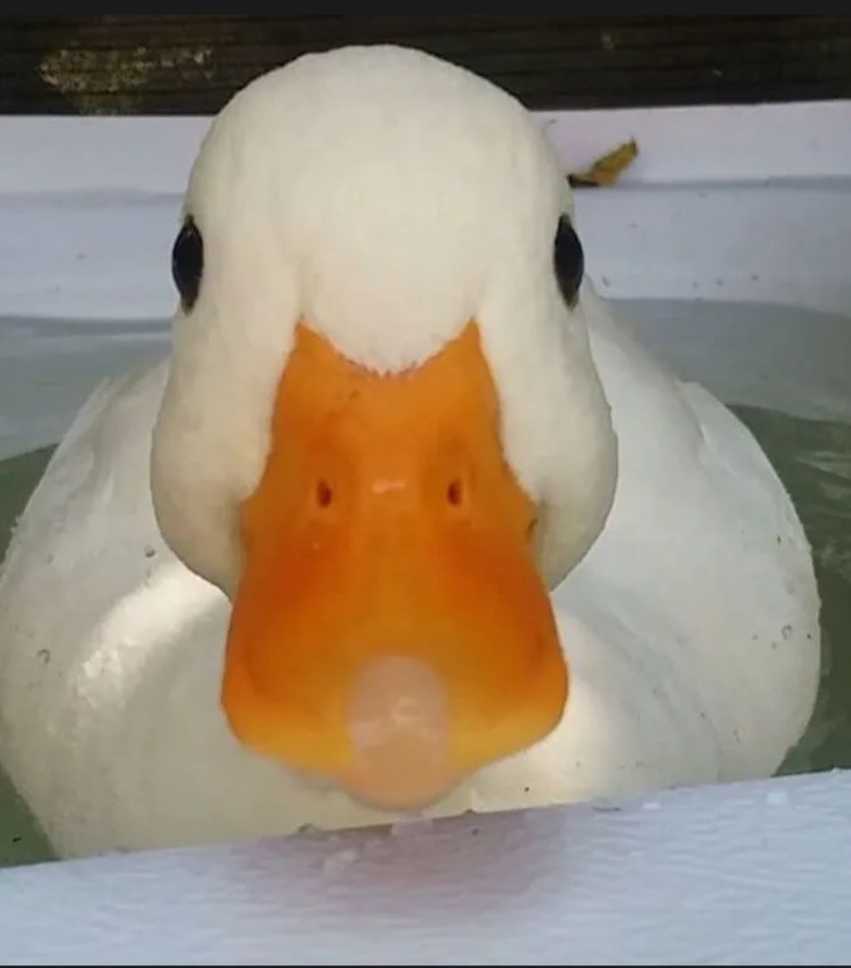 Profil de Karl, 18 ans, Rencontre à Imperial