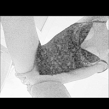 Profil de Aza, 40 ans, Rencontre à Saint-Thomas