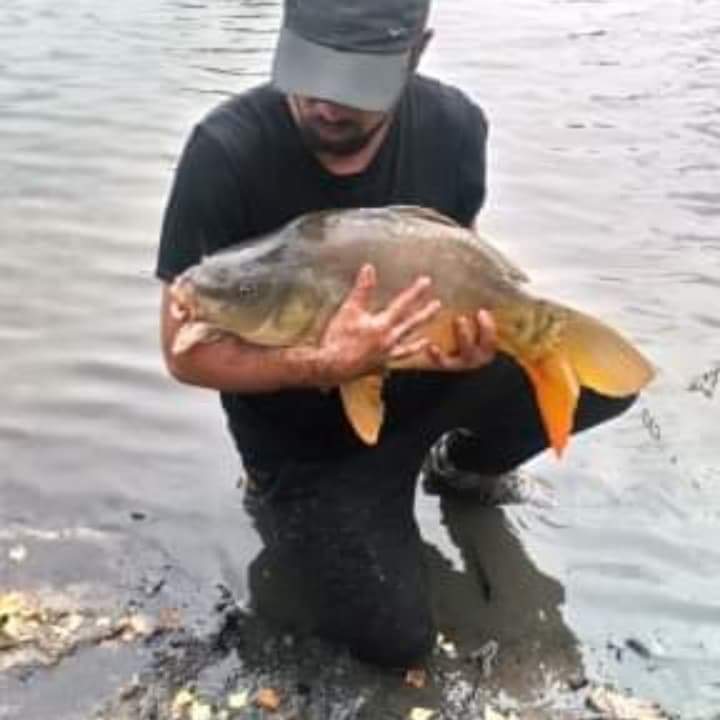 Profil de Azidine, 39 ans, Rencontre à Redcliff