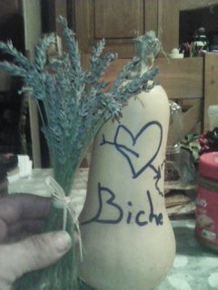 Profil de Mohsine, 55 ans, Rencontre à Wainwright