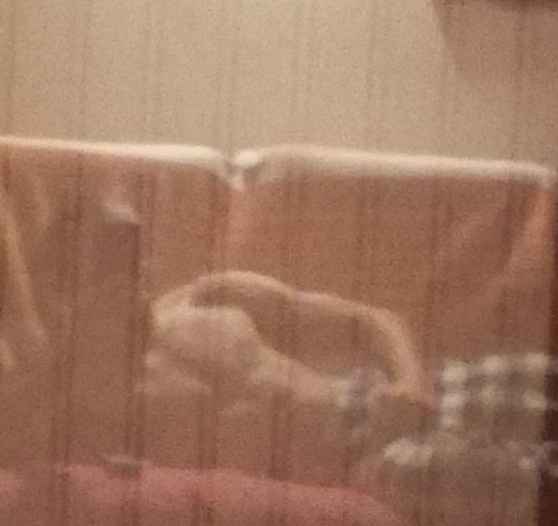 Profil de Seif-eddine, 21 ans, Rencontre à Torquay