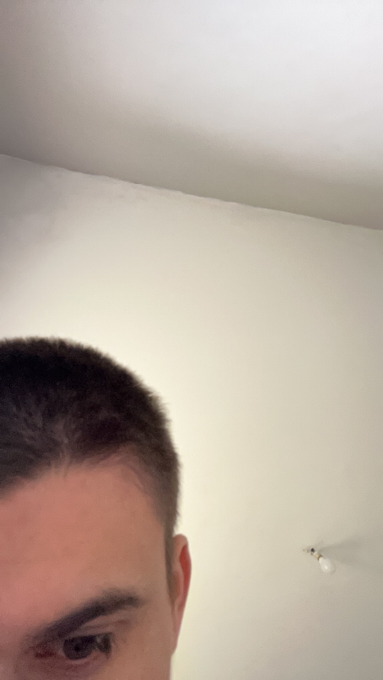 Profil de Ours, 26 ans, Rencontre à Chambly