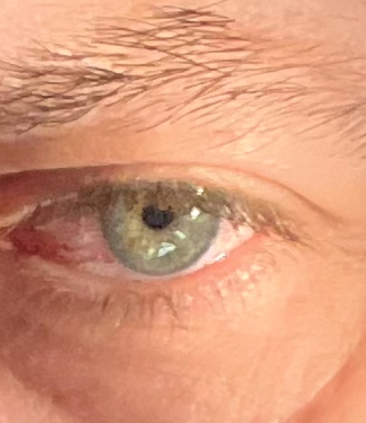 Profil de Jaufre, 48 ans, Rencontre à Ridgedale